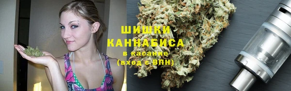apvp Алексин
