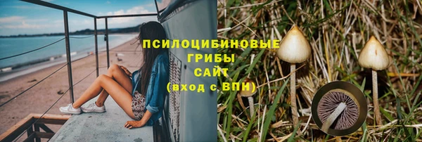 apvp Алексин